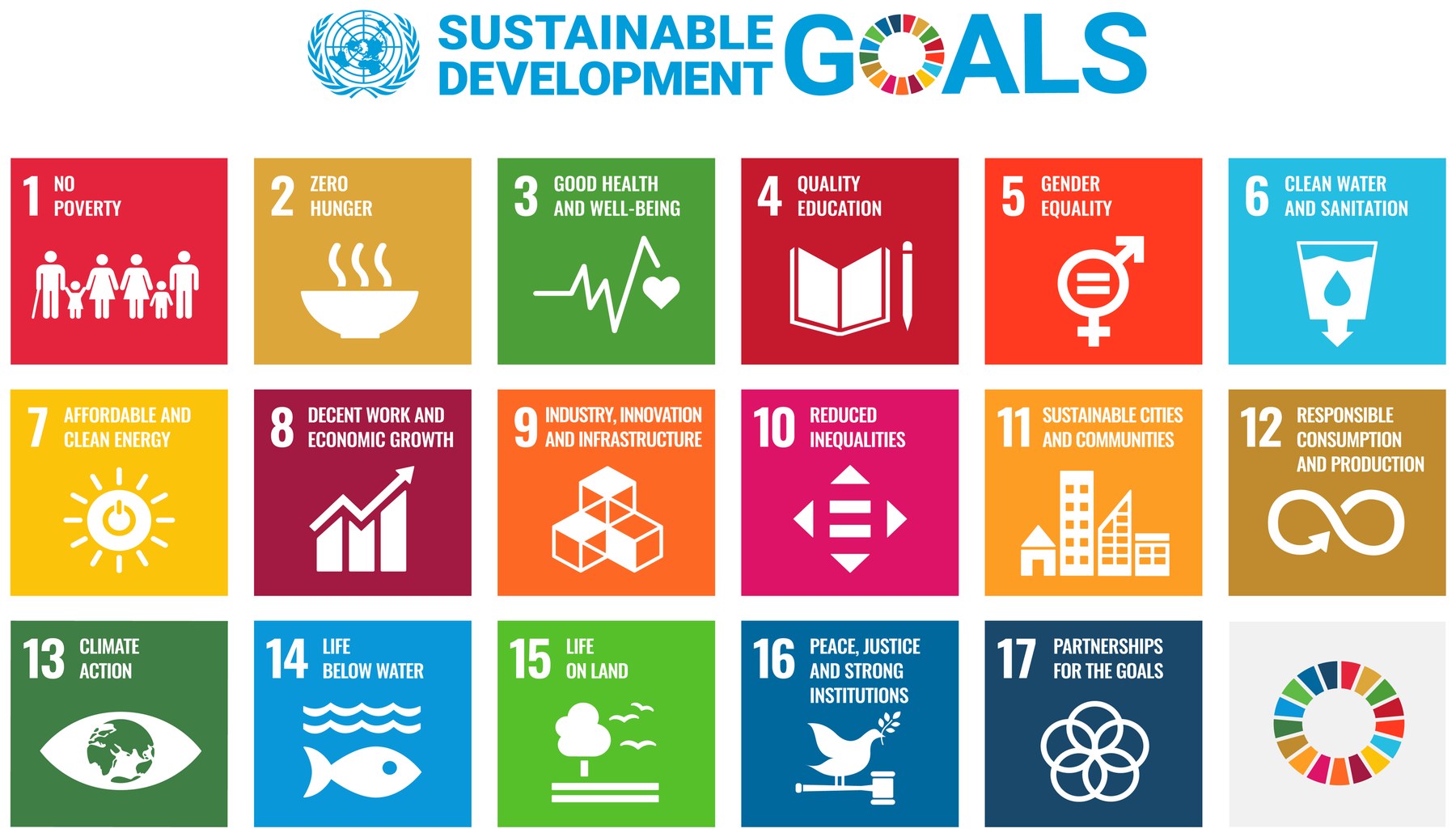 The 17 United Nations Sustainable Development Goals
